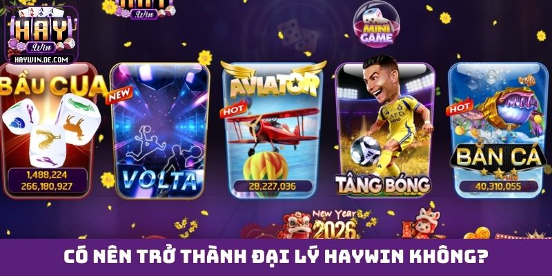 Có nên trở thành đại lý HAYWIN không?
