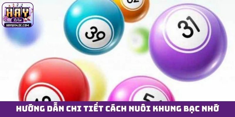 Hướng dẫn chi tiết cách nuôi khung bạc nhớ