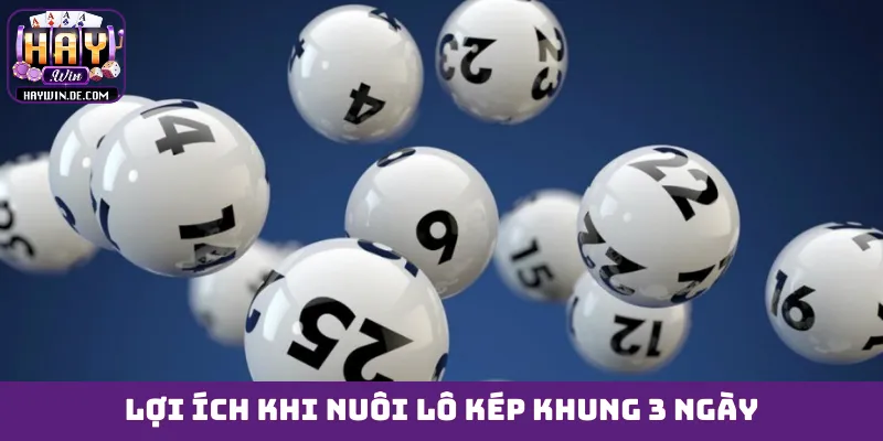 Lợi ích khi nuôi lô kép khung 3 ngày