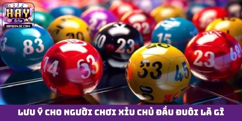 Lưu ý cho người chơi xỉu chủ đầu đuôi là gì