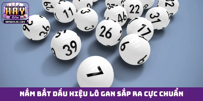 Nắm bắt dấu hiệu lô gan sắp ra cực chuẩn