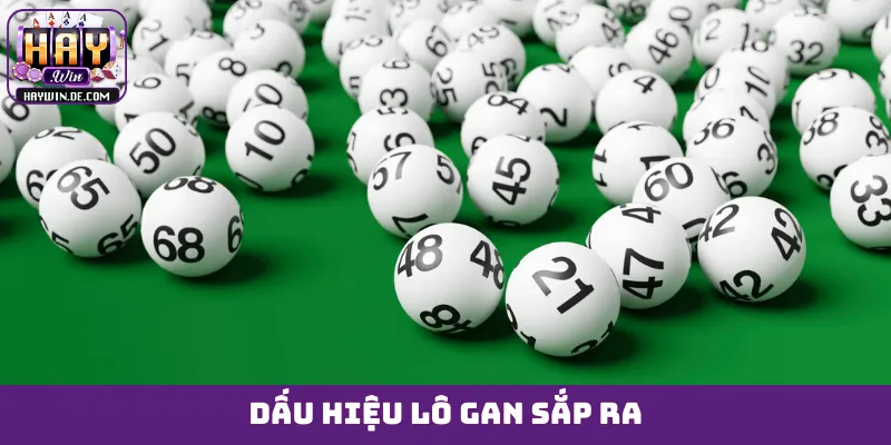 Dấu hiệu lô gan sắp ra