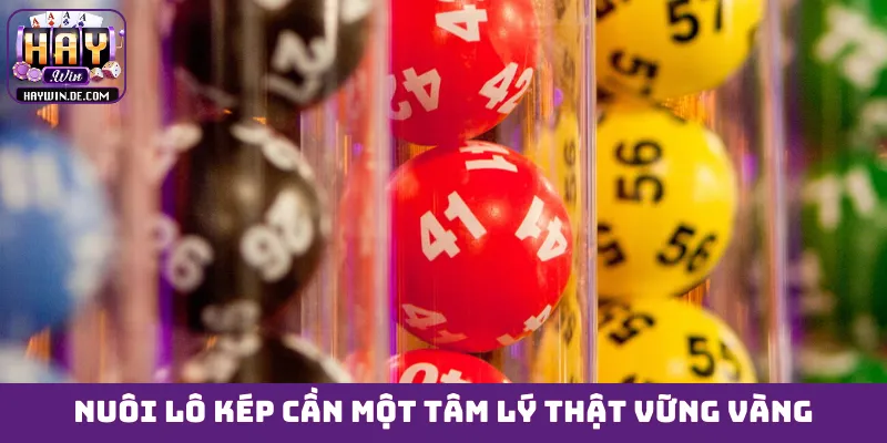 Nuôi lô kép cần một tâm lý thật vững vàng